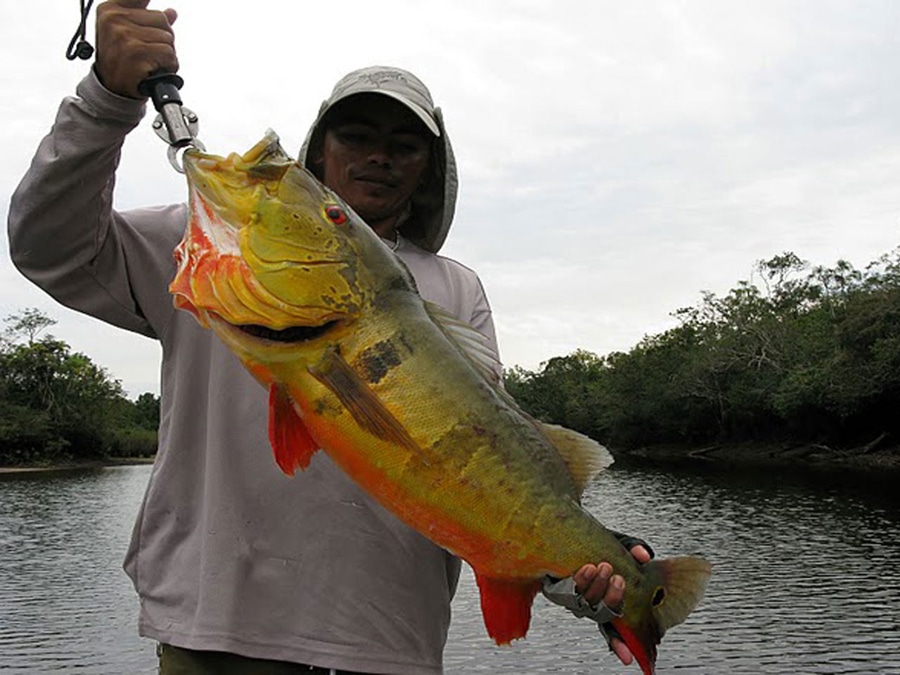 amazon fishing trips peru